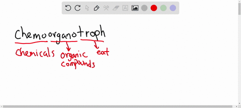 acetyl-coa-can-be-useful-to-chemoorganotrophs-that-perform-aerobic-respiration-because-it-canselect-all-the-correct-answers-and-onlyv-the-correct-answers-bc-used-t0-makc-amino-alds-bo-uszd-t-53481