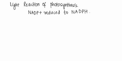 respiration-and-the-light-reactions-of-photosynthesis-have-several-features-in-common-which-of-the-following-is-nql-a-common-feature-0-both-use-an-electron-transport-chain-0-both-couple-the-94787