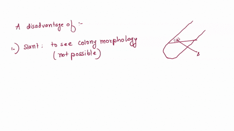 name-a-disadvantage-of-each-different-media-slant-petri-plate-56865