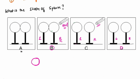 consider-the-diagram-shown-below-which-shows-a-sequence-of-events-involving-two-conducting-spheres-both-initially-neutral-on-insulating-posts_-the-two-spheres-are-initially-touching-so-they-90008