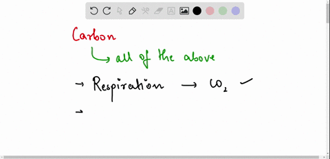 how-is-carbon-reintroduced-into-the-atmosphere-a-respiration-b-photosynthesis-c-evaporation-d-all-of-the-above-37035