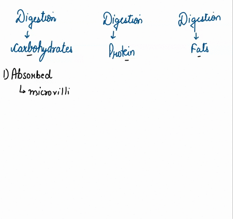 classify-each-of-the-following-characteristics-to-describe-the-digestive-enzymes-that-function-in-the-body-absorbed-at-intestinal-villi-requires-trypsin-for-digestion-to-occur-requires-pepti-95255