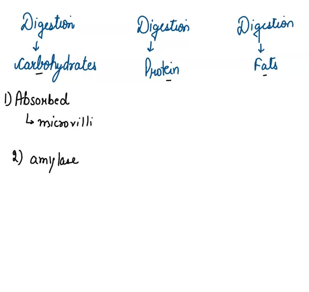 SOLVED Complete the following diagram which illustrates chemical