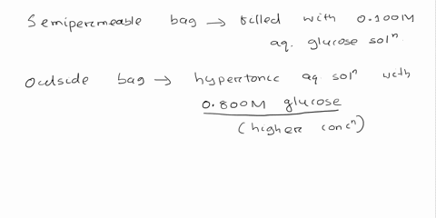 question-8-of-19-student-fills-a-semipermeable-bag-with-0100m-aqueous-glucose-solution-and-places-it-in-a-hypertonic-aqueous-solution-of-0800m-glucose-which-of-the-following-best-describes-w-61823