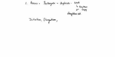 1-dna-replication-is-critical-to-the-growth-of-microbes-describe-the-mechanism-used-by-prokaryotes-to-replicate-their-dna-2-how-does-wobble-affect-the-synthesis-of-bacterial-proteins-3-gram-82146