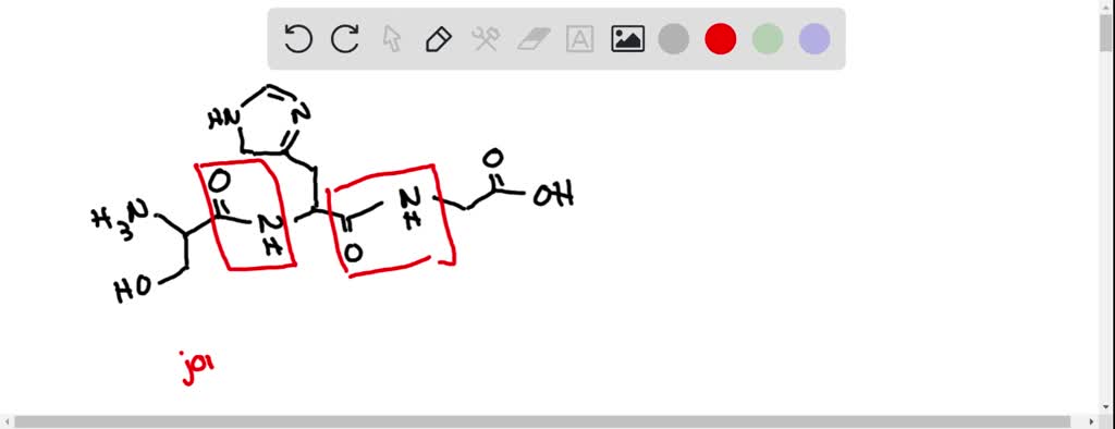 SOLVED: How many amino acids are shown in the structure below? How many ...