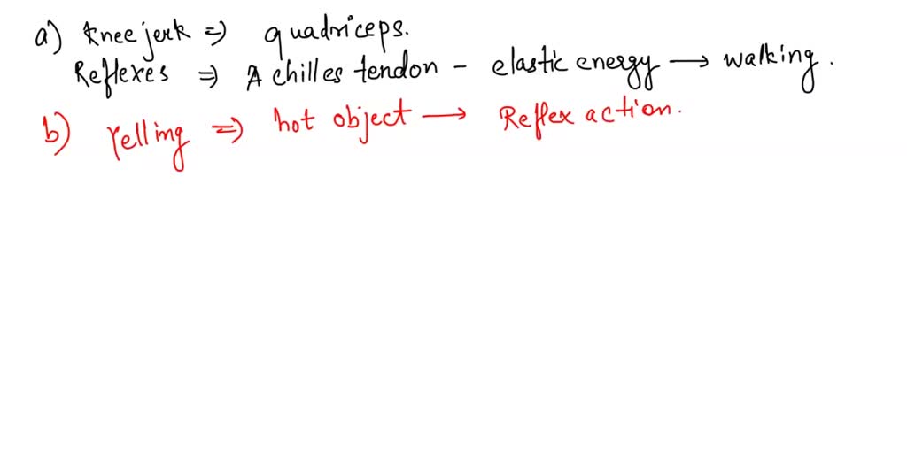 SOLVED Evaluation and Synthesis a) Explain why the kneejerk and Achilles reflexes are