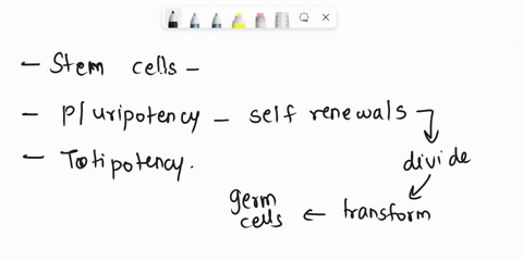 1-do-stem-cells-have-the-potential-to-treat-neurological-diseases-if-so-why-and-how-what-are-the-biological-processes-that-take-place-in-order-for-this-to-happen-63287