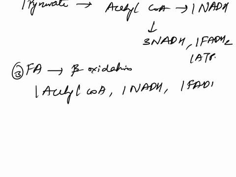 for-the-compound-shown-below-how-many-net-atp-molecules-are-produced-when-the-compound-is-oxidized-via-glycolysis-beta-oxidation-the-tca-cycle-and-the-electron-transport-chain-etc-in-a-bacte-21558