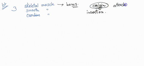 ca-in-the-context-of-muscle-anatomy-what-are-muscles-origin-and-insertion-respectively-pl4-how-is-a-tendon-similar-to-and-different-from-an-aponeurosis-pls-what-as-a-group-do-the-extraocular-58206