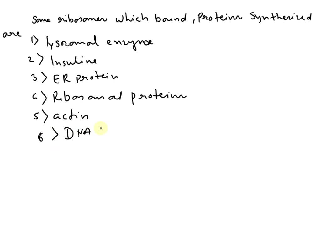 SOLVED Pant R Siles protein synthesis Proteins are synthesized by