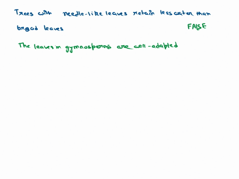 is-it-true-or-false-10-trees-with-needle-like-leaves-retain-less-water-than-broad-leaves_-86764