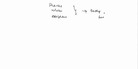 sharks-whales-and-dolphins-share-similar-features-such-as-body-shape-and-the-position-of-fins-however-sharks-have-gills-for-breathing-while-whales-and-dolphins-have-lungs-these-differences-i-79074