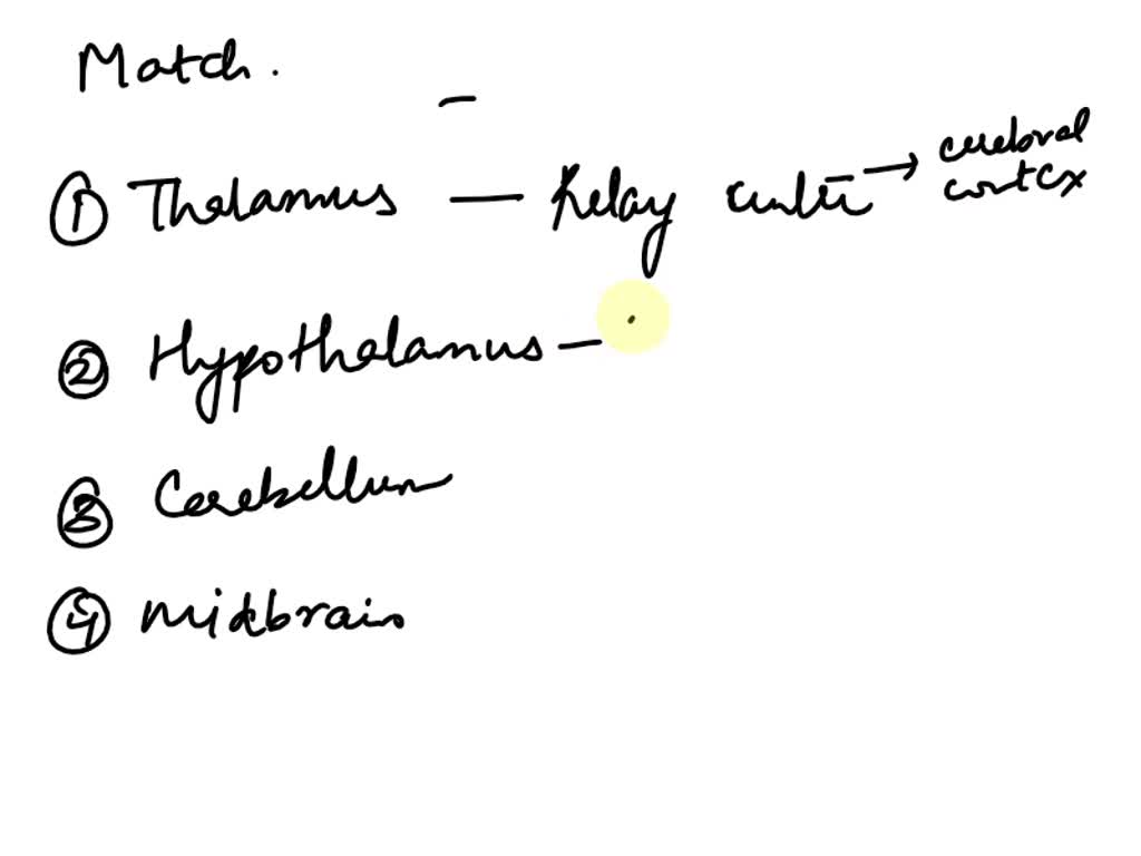 The cell bodies of first-order sensory neurons are located in the ...