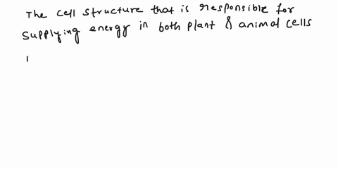 which-cell-structure-is-responsible-for-supplying-energy-in-both-plant-and-animal-cells-chloroplast-mitochondrion-nucleus-ribosome-15317