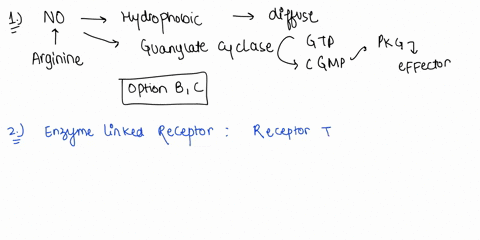 please-help-on-these-three-questions-with-an-explanation-thank-you-1-nitric-oxide-choose-all-that-are-correct-a-can-activate-adenylate-cyclase-b-can-activate-guanylate-cylase-c-can-diffuse-i-75206