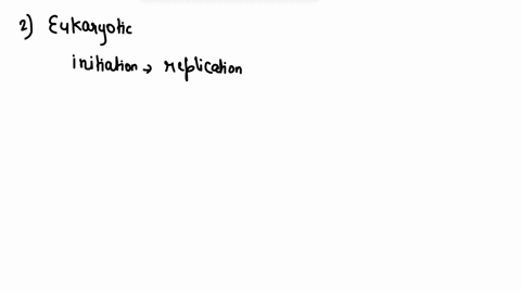 describe-how-eukaryotic-dna-is-replicated-including-the-major-enzymes-involved-in-replication-and-the-functions-of-these-enzymes-initiation-elongation-_-and-termination-how-scientists-can-mi-79637