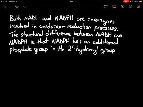 how-does-the-difference-between-nadh-and-nadph-affect-the-reactions-in-which-they-are-involved-2-54526