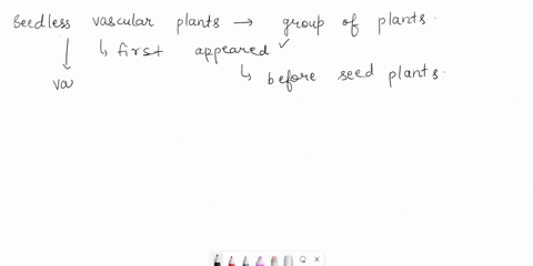 identify-the-new-traits-that-first-appear-in-seedless-vascular-plants-91678