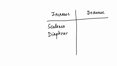 indicate-whether-contraction-of-each-muscle-plays-a-part-in-either-an-increase-in-thoracic-volume-or-a-decrease-in-thoracic-volurne-scalenes-diaphragm-increase-end-decrease-siernocleidomasto-83839