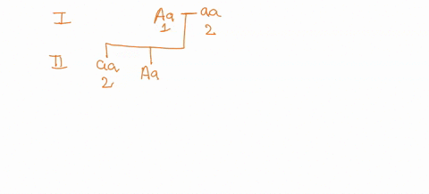 post-lab-question-_-homework-unanswwered-fill-in-the-blanks-typeyour-answers-in-all-of-the-blanks-and-submit-according-to-pedigree-2-indicate-the-genotypes-for-each-individual-listed-below-f-27156