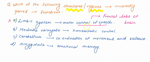 which-of-the-following-structures-or-regions-is-incorrectly-paired-with-its-function-a-limbic-system-81804