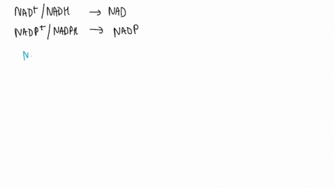 nearly-all-enzymes-that-require-a-nicotinamide-cofactor-use-either-nadnadh-or-nadpnadph-but-not-both-compare-the-net-charge-of-each-cofactor-08009