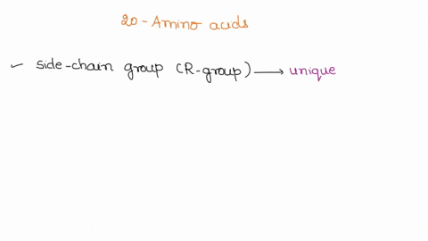 the-twenty-amino-acids-the-twenty-amino-acids-that-make-up-proteinseach-have-assigned-to-them-both-learning-the-following-list-gives-these-hotations-along-with-hypertext-references-the-forma-20634