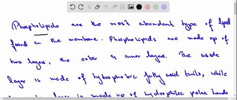 which-type-of-lipid-molecule-is-most-likely-to-be-present-in-membranes-30419