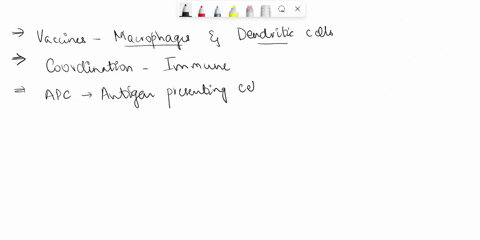 we-have-discussed-many-different-cells-and-molecules-of-the-innate-and-adaptive-immune-system-the-central-lymphocytes-of-the-adaptive-immune-system-b-and-cells-have-innate-counterparts-in-th-98879