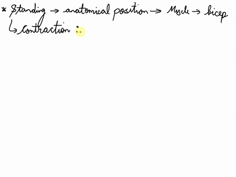 the-arm-models-we-used-simulated-the-actions-of-flexion-and-extension-at-the-human-elbow-joint-standing-in-the-anatomical-position-slowly-bend-your-arm-at-the-elbow-the-muscle-thats-producin-62503