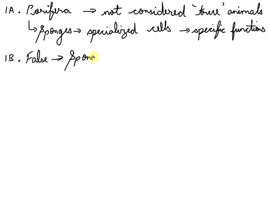 SOLVED 1A) Why aren't Porifera considered "true" animals? a. They do