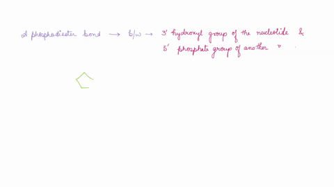 a-phosphodiester-bond-in-nucleic-acid-polymers-is-formed-between-selected-answer-a-3-phosphate-and-a-5-hydroxyl-group-answers-two-amino-acids-a-5-phosphate-and-a-3-hydroxyl-group-a-base-and-47455