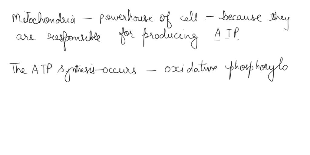 SOLVED Why do mitochondria have their own DNA? Why do we use