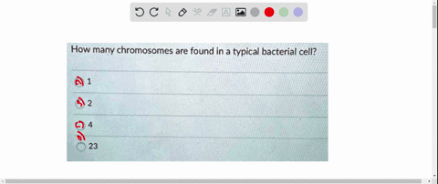 how-many-chromosomes-are-found-in-a-typical-bacterial-cell-23-06614