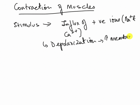 during-an-action-potential-in-a-myocardial-contractile-cell-the-membrane-potential-changes-that-occur-are-a-result-of-_________-a-sodium-influx-through-voltage-gated-sodium-channels-during-t-59583