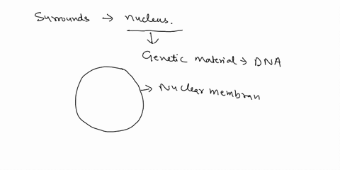the-_____-surrounds-the-nucleus-of-the-cell-and-helps-assemble-and-package-materials-made-in-the-cell-91242
