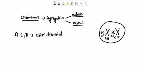 the-following-statements-true-or-false-1-c-and-d-are-sister-chromatids-2-eand-g-are-identical-in-sequence-false-3-a-and-b-are-homologous-t0-each-other-false-during-crossing-over-in-meiosis-b-33167