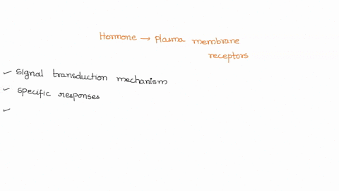 what-happens-when-a-hormone-binds-to-a-plasma-membrane-receptor-a-the-receptor-moves-from-the-plasma-membrane-to-the-nucleus-b-the-receptor-changes-shape-and-activates-intracellular-2nd-mess-75031