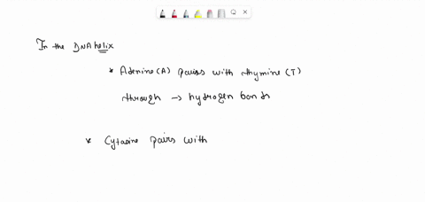 in-the-dna-double-helix-archaic-pairs-with-thymine-and-cytosine-pairs-with-guanine-true-or-false-42726