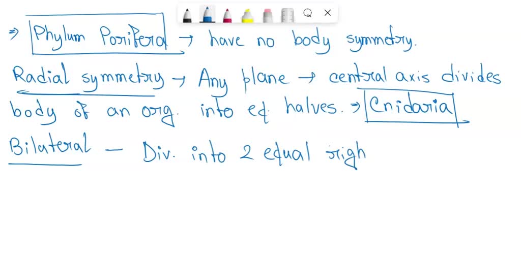 SOLVED: 1.Sponges are considered animals. What basic characteristics do