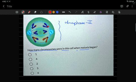 how-many-chromosomes-were-in-this-cell-when-meiosis-began-2-51094
