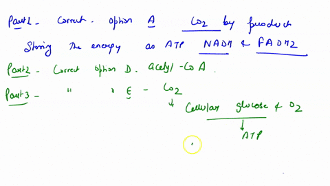 glycolysis-and-the-citric-acid-cele-break-down-glucose-molecules-into-product-storing-the-energy-as-atp-and-co-nadh-fadh-pyruvate-0z-coz-oz-pyruvate-lactic-acid-nadh-ocoz-upon-completion-of-06484