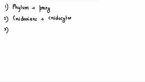 members-of-phylum-cnidaria-differ-from-the-sponges-because-they-12-pt-most-are-bilaterally-symmetrical-digest-prey-in-primitive-gastrovascular-cavities-have-tissues-less-complex-than-sponges-53489