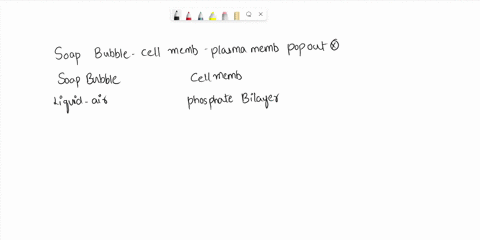 how-and-why-do-soap-bubble-membranes-differ-from-lipid-bilayers-30492
