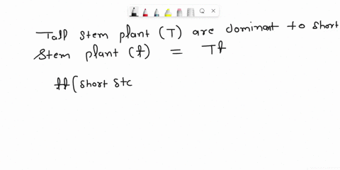 in-a-certain-plant-tall-stems-t-are-dominant-to-short-stems-t-a-farmer-crosses-a-short-stemmed-plant-with-a-heterozygous-long-stemmed-plant-what-are-the-expected-genotypes-phenotypes-genotyp-13338