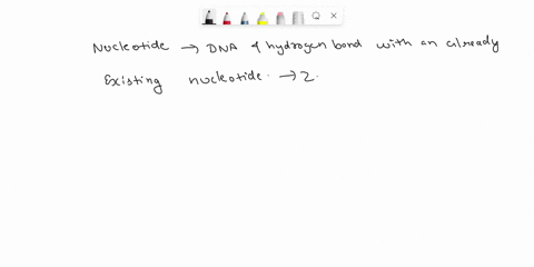 why-must-heat-be-applied-when-the-primary-stain-is-used-during-endospore-staining-44534
