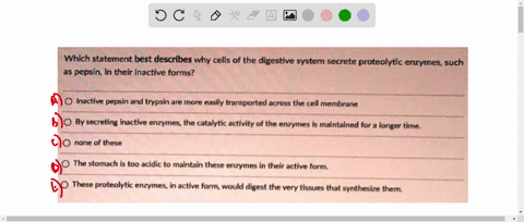 which-statement-best-describes-why-cells-of-the-digestive-system-secrete-proteolytic-enzymes-such-a5-pepsin-in-their-inactive-forms-inactive-pepsin-and-trypsin-are-more-easily-transported-nc-12538