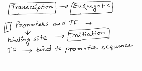 in-dna-synthesis-all-base-pairs-of-a-genome-are-replicated-in-the-production-of-rna-only-a-selected-portion-of-bases-of-dna-in-a-genome-are-transcribed-in-either-a-prokaryote-or-a-eukaryote-76075