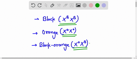 problem-in-cats-black-orange-fur-color-show-codominance-and-is-determined-by-a-gene-located-on-the-x-chromosome-like-humans-female-cats-are-xx-and-male-cats-are-xy-awhat-are-the-genotypes-of-77346